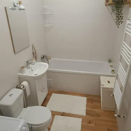 Apartment Daniela Brasov
